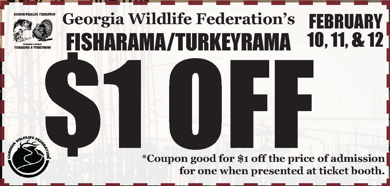 1 Off Coupon BUCKARAMA